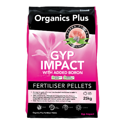 Gyp Impact